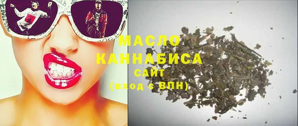 гашик Вязьма