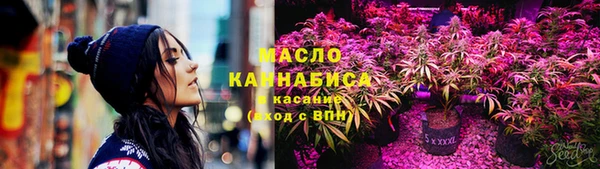 дмт Вяземский
