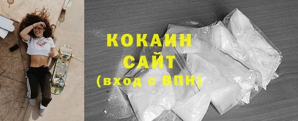 гашик Вязьма