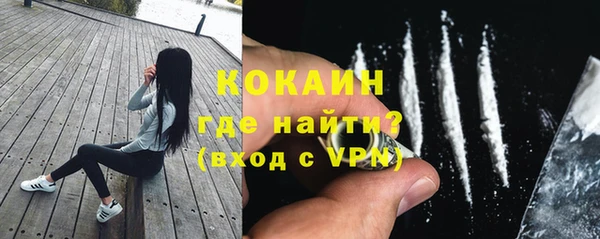 дмт Вяземский