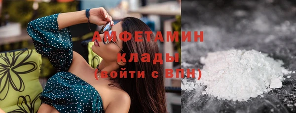 гашик Вязьма
