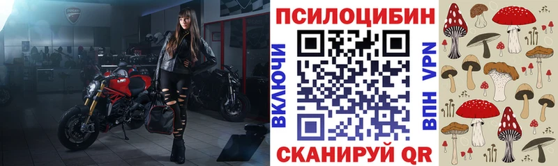 OMG ONION Красногорск Псилоцибиновые грибы Psilocybe